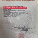 Bán Đất Nền 350m² Đường Phan Văn Đạt Phường Thành Nhất – Giá 1 Tỷ 750 Triệu - ảnh 2