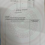 Bán Đất Nền 350m² Đường Phan Văn Đạt Phường Thành Nhất – Giá 1 Tỷ 750 Triệu - ảnh 3