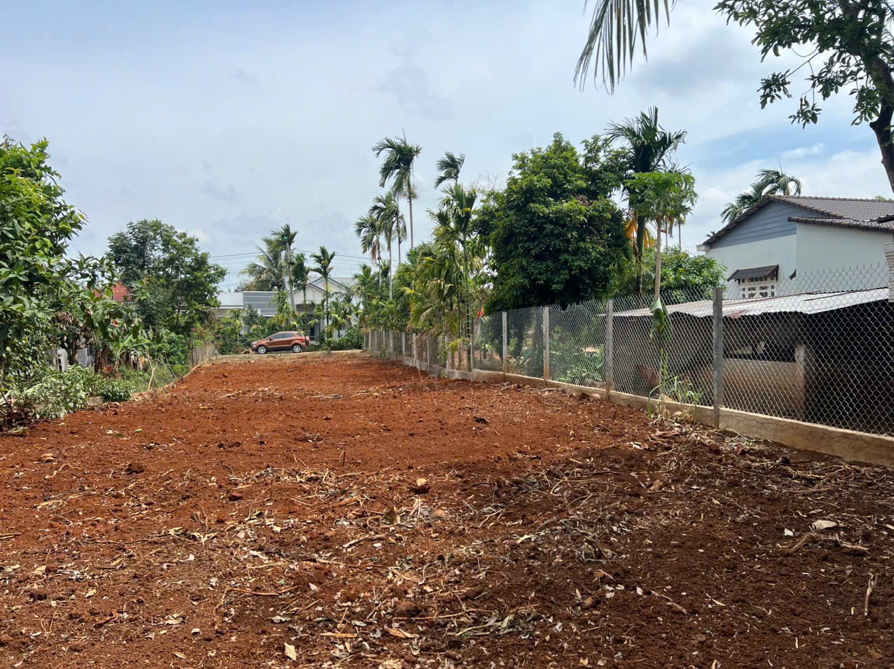 Bán Đất Nền 264m² Đường D3 Tân An BMT – Giá 1 Tỷ 499 Triệu