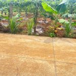 Bán Đất Thổ Cư 115m² Phường Tân An Buôn Ma Thuột – Giá 895 Triệu - ảnh 3