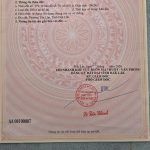 Bán Đất Nền 100m² Khu Đấu Giá Võ Thị Sáu Tân Lợi – Giá 3 Tỷ 350 Triệu - ảnh 3