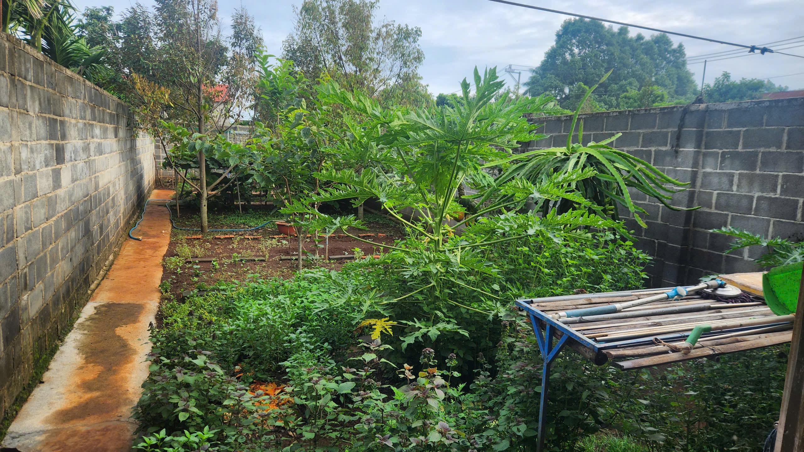 Bán Nhà Sân Vườn 328m² Hẻm Nguyễn Lương Bằng Tân Lập – 4 Tỷ 390 Triệu