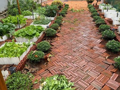 Bán Đất Nền 90m² Hẻm Lương Thế Vinh Buôn Ma Thuột – Giá 2 Tỷ 880 Triệu