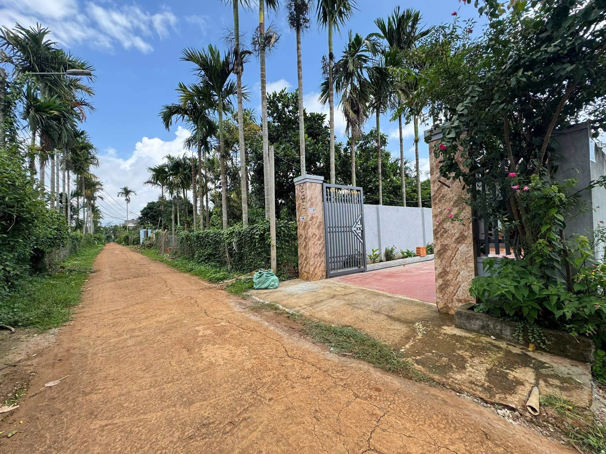 Bán Nhà Mặt Tiền 135m² Phường Tân An Buôn Ma Thuột – Giá 1 Tỷ 870 Triệu