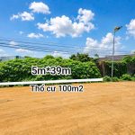 Bán Đất Nền 195m² Hẻm 193 Đỗ Xuân Hợp, QH 24m – Giá 3 Tỷ 990 Triệu - ảnh 2