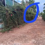Bán Đất Nền 230m² Hẻm Đại Lộ Đông Tây Tân Lập BMT – 2 Tỷ 800 Triệu - ảnh 3