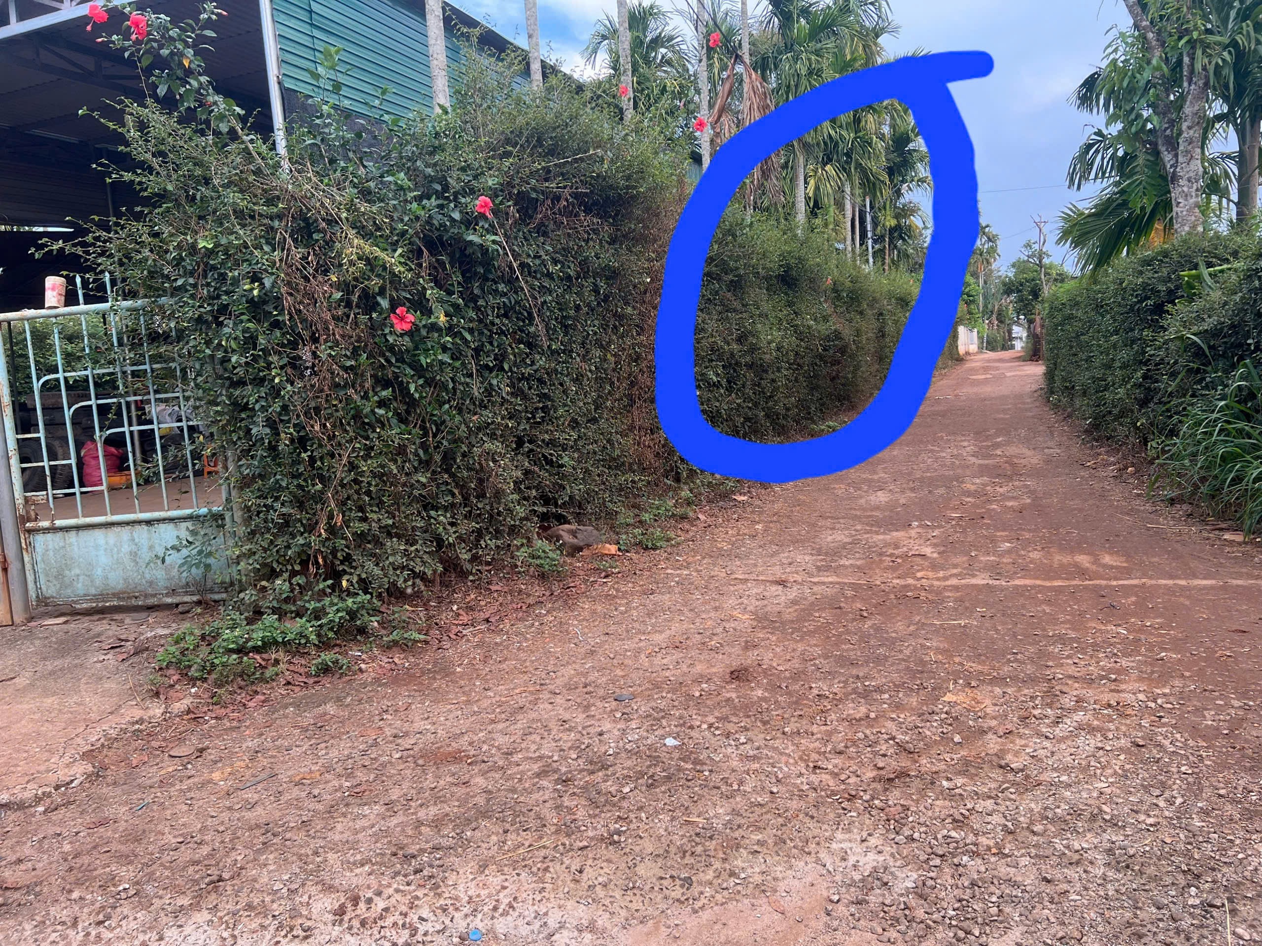 Bán Đất Nền 230m² Hẻm Đại Lộ Đông Tây Tân Lập BMT – 2 Tỷ 800 Triệu