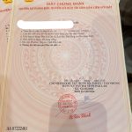 Bán Đất Nền 110m² Hẻm Cấp 1 Quốc Lộ 26 Phường Tân An – Giá 1 Tỷ 050 Triệu - ảnh 3