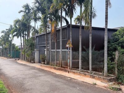 Bán Đất Nền 150m² Mặt Tiền 20A Đạt Lý Phường Tân An – Giá 1 Tỷ 690 Triệu