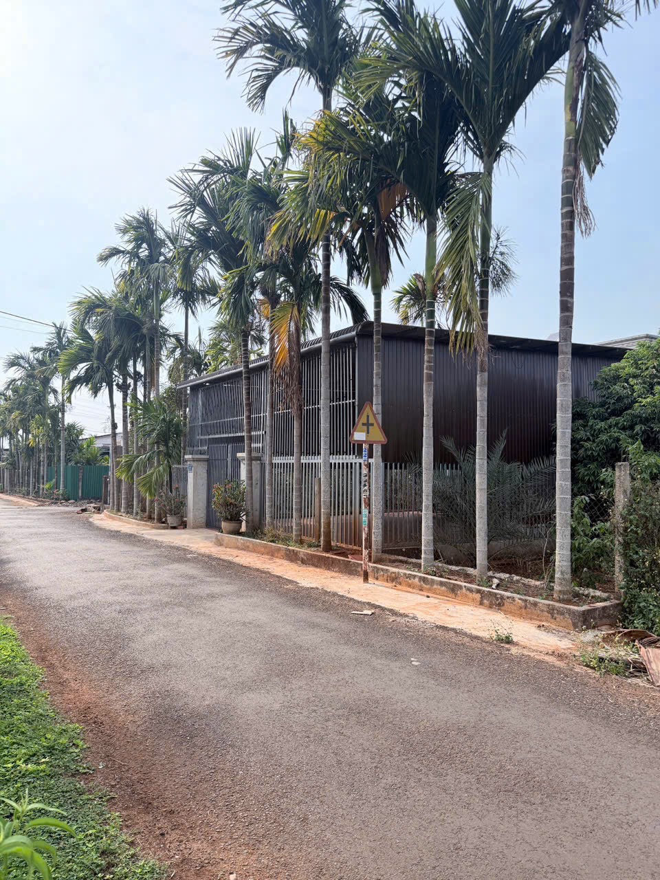 Bán Đất Nền 150m² Mặt Tiền 20A Đạt Lý Phường Tân An – Giá 1 Tỷ 690 Triệu