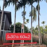 Bán Đất Nền 150m² Mặt Tiền 20A Đạt Lý Phường Tân An – Giá 1 Tỷ 690 Triệu - ảnh 2