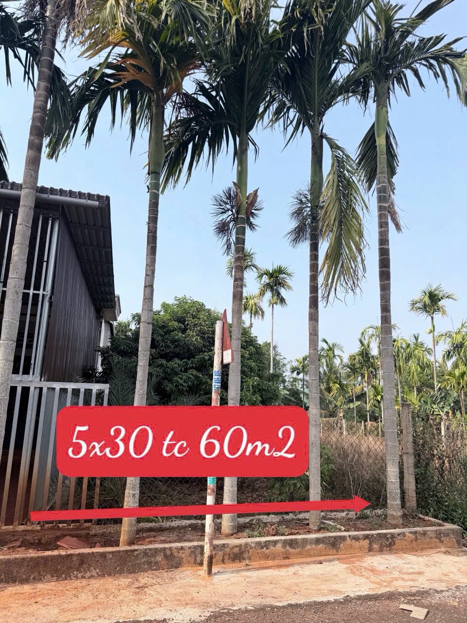 Bán Đất Nền 150m² Mặt Tiền 20A Đạt Lý Phường Tân An – Giá 1 Tỷ 690 Triệu