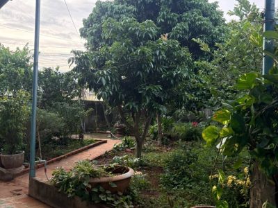 [Cho thuê] Nhà vườn 600m² Hẻm Nguyễn Thị Định BMT – Giá 4 Triệu Sân Vườn Rộng