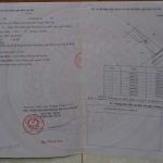 Bán Đất Nền 150m² Hẻm Nguyễn Gia Thiều Buôn Ma Thuột – Thổ Cư Full Giá 2 Tỷ 9 - ảnh 4