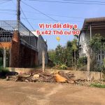 Bán Đất Nền 210m² Phường Ea Kao BMT – Giá 695 Triệu Thổ Cư 90m² - ảnh 2