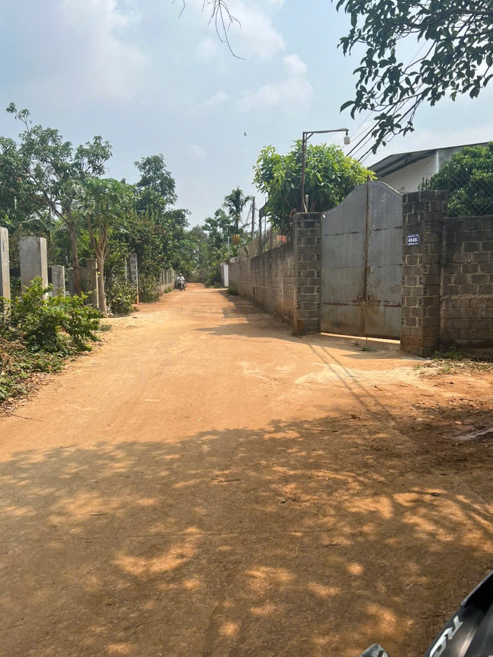 Bán Đất CLN 3100m² Hẻm Đường A3 Phường Tân An BMT – Giá 4 Tỷ Thương Lượng