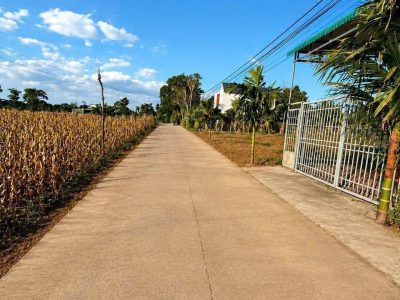 Bán Đất Nền 125m² Thôn 2 Cư Suê Cư M’gar – Giá 475 Triệu Có Thổ Cư