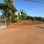 Bán Đất Nền 125m² Thôn 2 Cư Suê Cư M’gar – Giá 475 Triệu Có Thổ Cư - ảnh 2