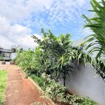 Bán Đất CLN 550m² Mặt Tiền Y Moan Buôn Ma Thuột – Giá 4 Tỷ 600 Triệu - ảnh 5