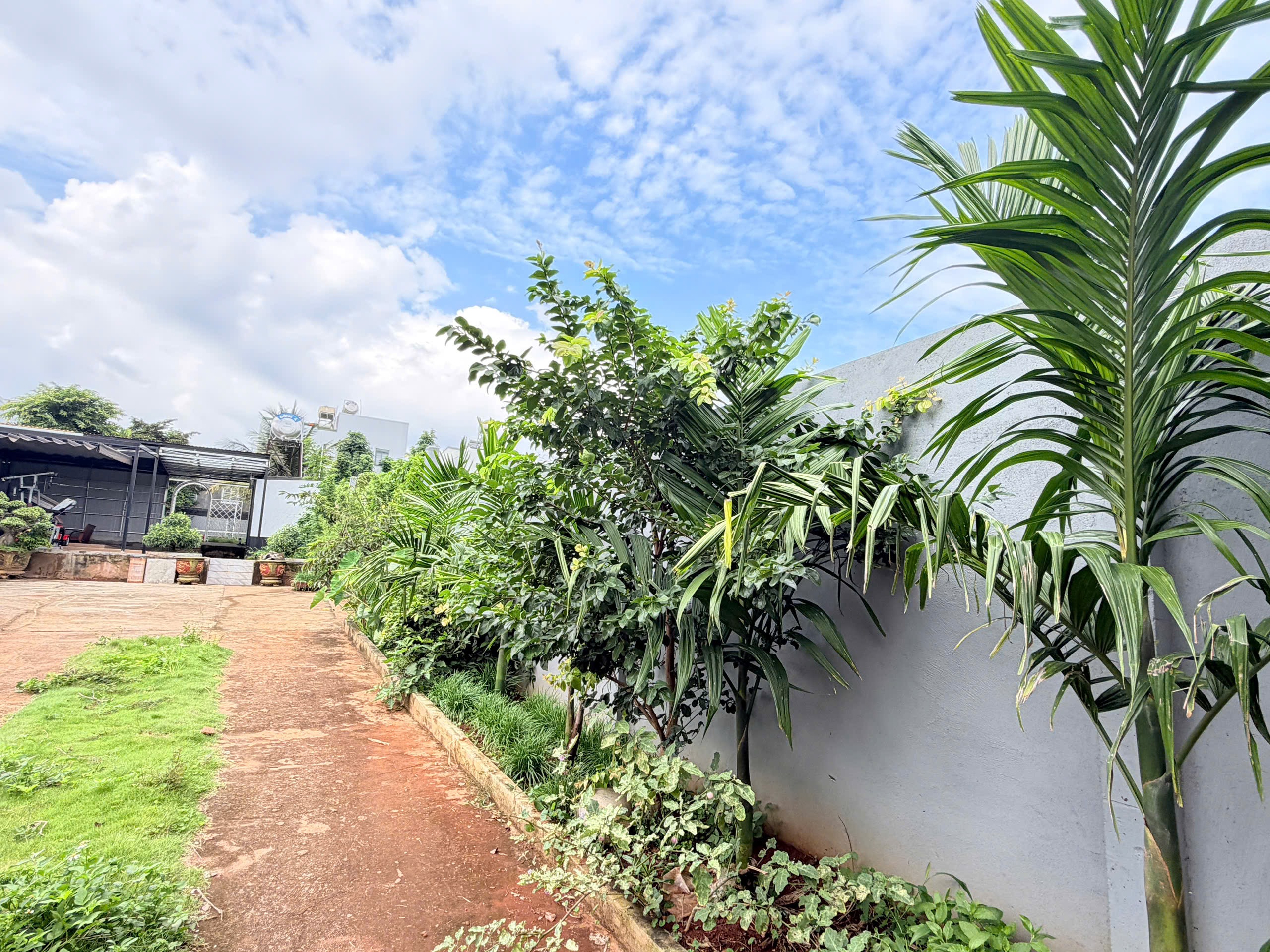 Bán Đất CLN 550m² Mặt Tiền Y Moan Buôn Ma Thuột – Giá 4 Tỷ 600 Triệu