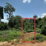 Bán Đất Nền 120m² Ea Kao Buôn Ma Thuột – Mặt Tiền Nhựa Giá 585 Triệu - ảnh 2