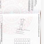 Bán Đất Nền 120m² Ea Kao Buôn Ma Thuột – Mặt Tiền Nhựa Giá 585 Triệu - ảnh 3