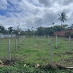 Bán Đất Nền 200m² Sau Chợ Ea Kao Buôn Ma Thuột – Giá 1 Tỷ 299 Triệu - ảnh 3