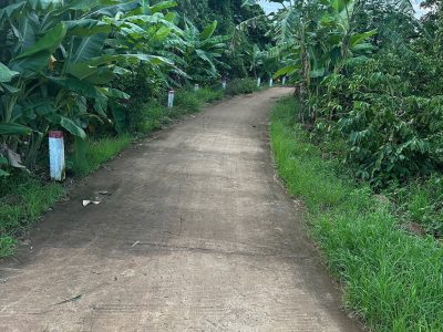 Bán Đất CLN 2800m² Hòa Xuân Buôn Ma Thuột – 26m Mặt Tiền Giá 980 Triệu
