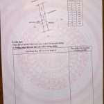 Bán Đất 160m² Mặt Tiền Nguyễn Xuân Nguyên Tân An – Giá 2 Tỷ 768 Triệu - ảnh 4
