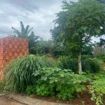 Bán Đất Tái Định Cư 115m² View Hoa Viên Nguyễn Hồng Ưng – Giá 7 Tỷ 500 Triệu - ảnh 4