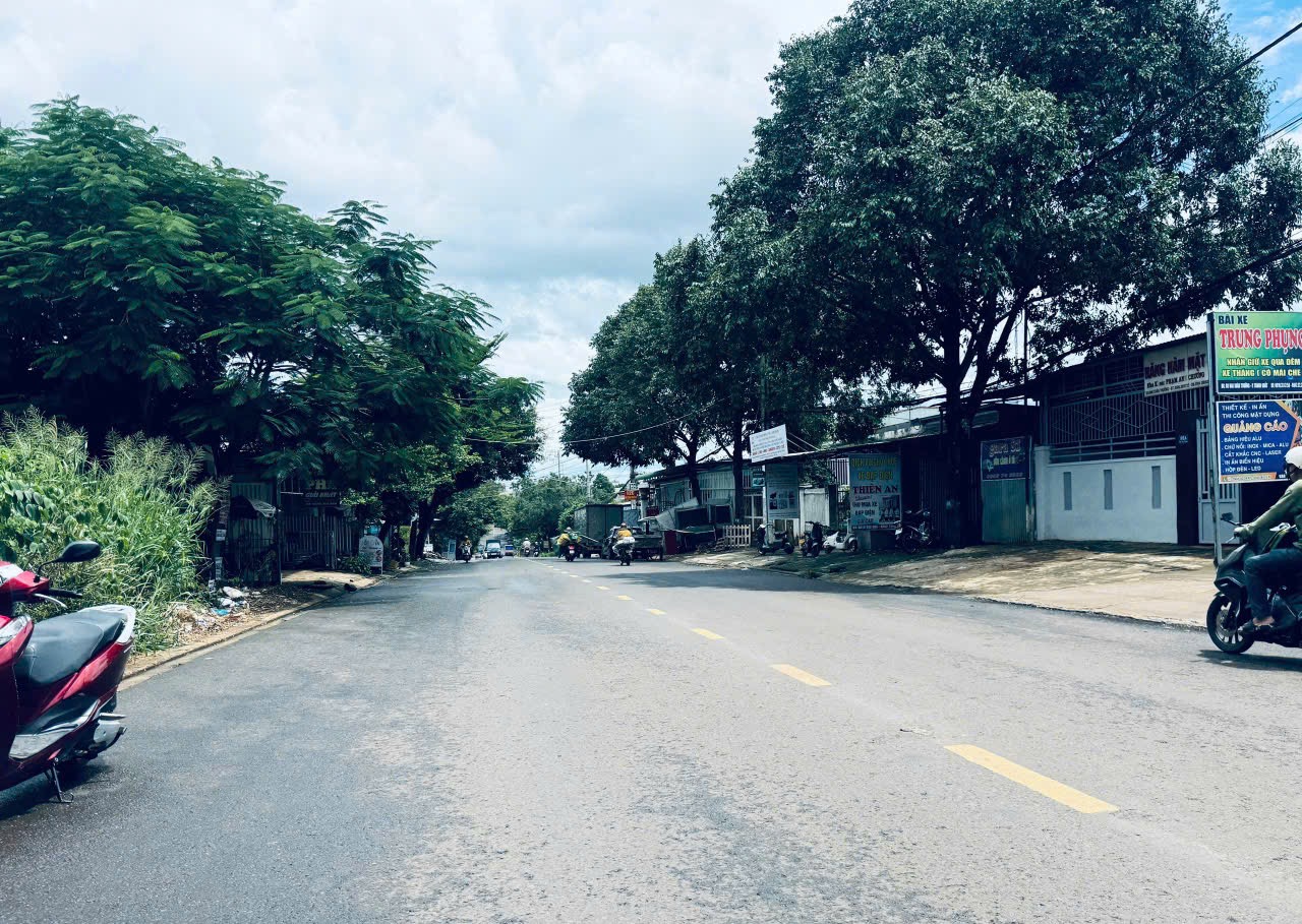 Bán Đất Nền 80m² Mặt Tiền Mai Xuân Thưởng Buôn Ma Thuột – Giá 3 Tỷ 990 Triệu