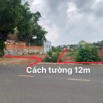Bán Đất Nền 80m² Mặt Tiền Mai Xuân Thưởng Buôn Ma Thuột – Giá 3 Tỷ 990 Triệu - ảnh 3