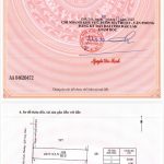 Bán Đất Nền 80m² Mặt Tiền Mai Xuân Thưởng Buôn Ma Thuột – Giá 3 Tỷ 990 Triệu - ảnh 4