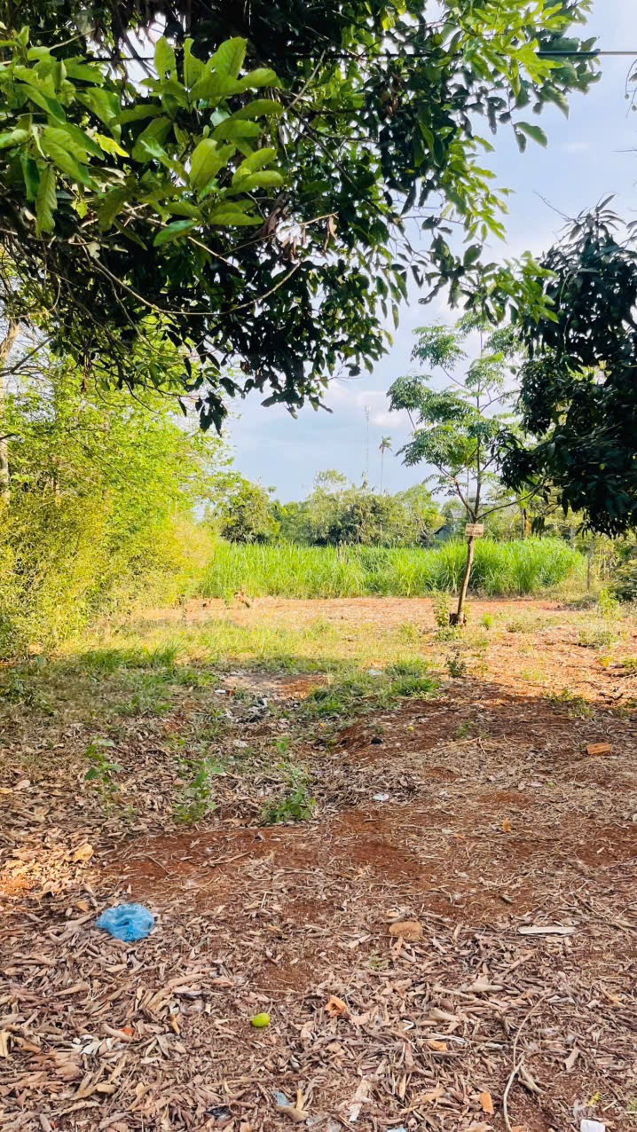 Bán Đất Nền 550m² Mặt Tiền Hẻm 171 Nguyễn Thái Bình – Giá 3 Tỷ 750 Triệu