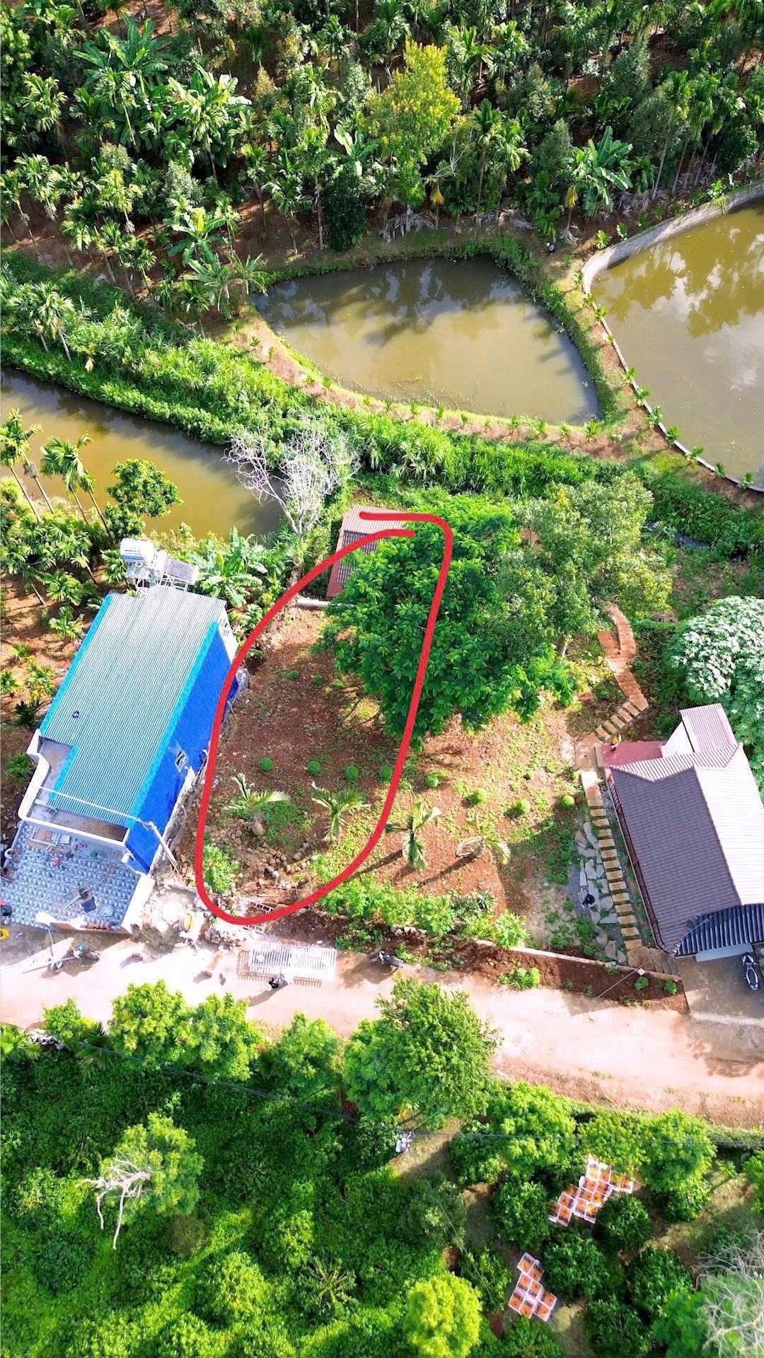 Bán Đất Nền 115m² Hẻm Nguyễn Thái Bình Hòa Thắng – Giá 989 Triệu