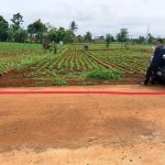 Bán Đất Nền 1000m² Cư Suê Trục Chính CFFE – Thổ Cư 60m² Giá 1 Tỷ 390 Triệu - ảnh 2