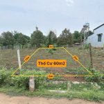 Bán Đất Nền 125m² Hẻm Cấp 1 TL8 Khu HimLam – Giá 1 Tỷ 290 Triệu - ảnh 2