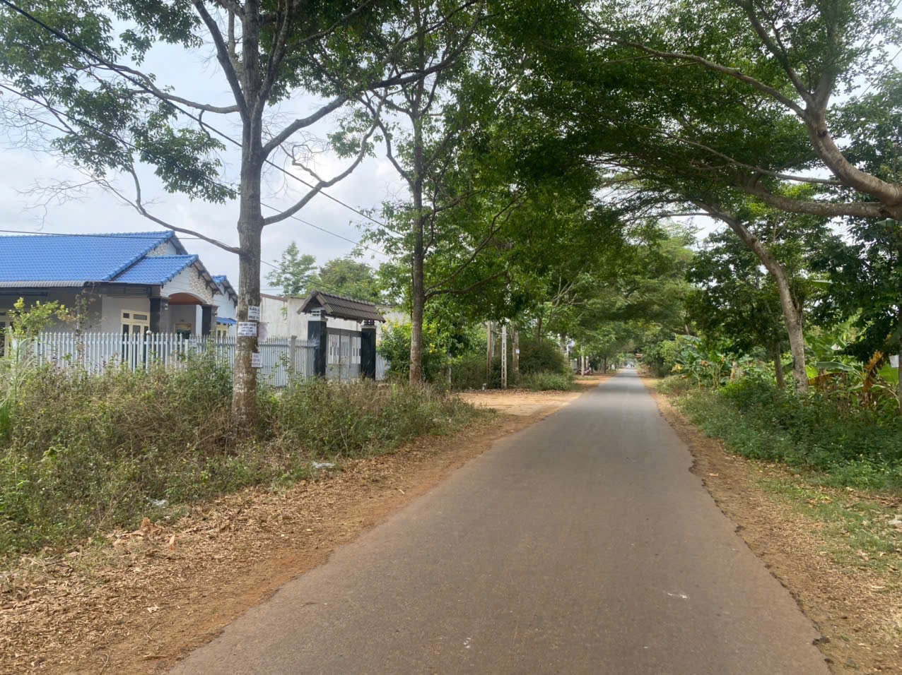 Bán Đất Nền 550m² 171 Nguyễn Thái Bình BMT – 80m Thổ Cư, Giá 3 Tỷ 450 Triệu