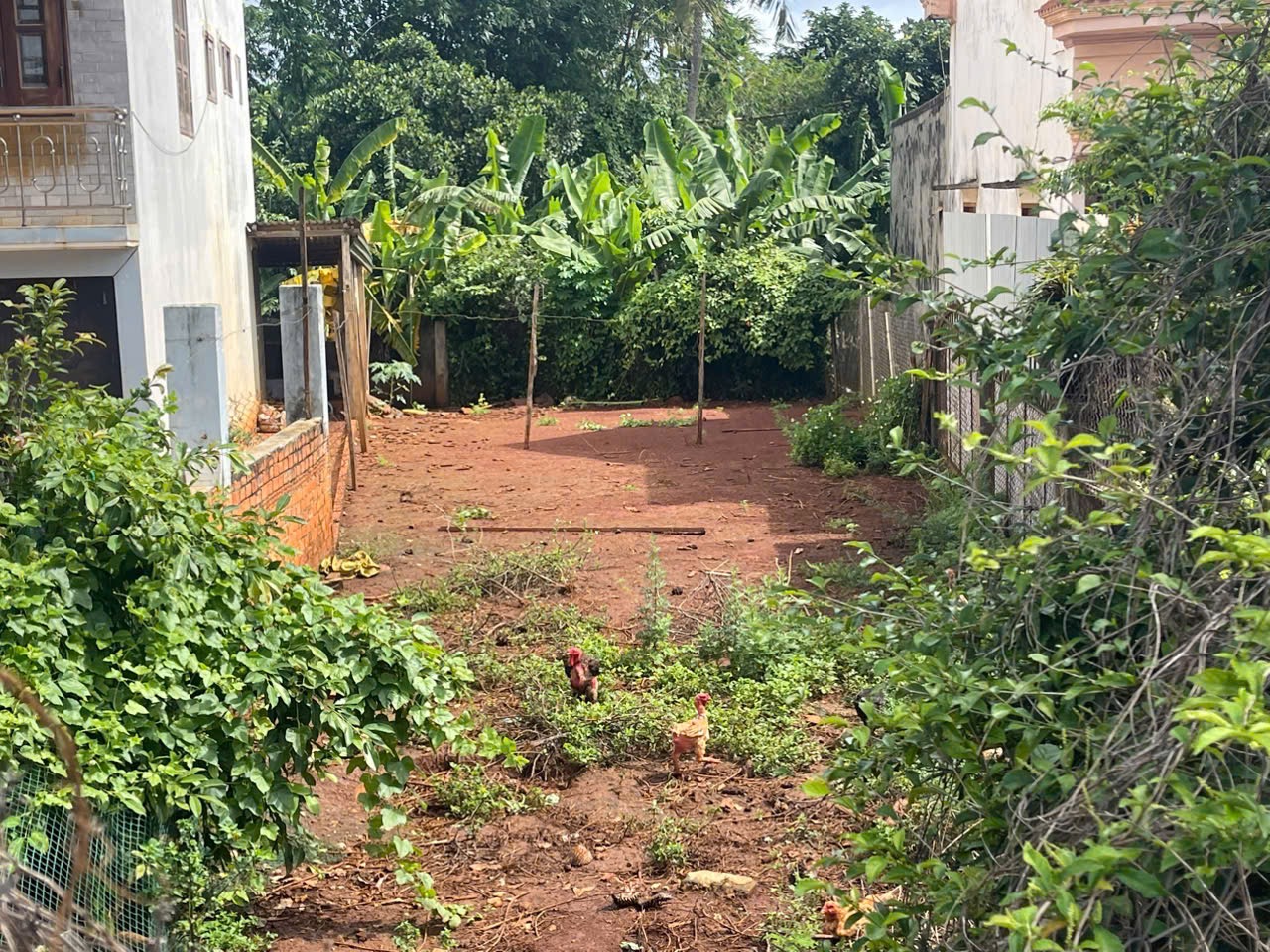 Bán Đất Nền 133m² Mặt Tiền Nguyễn Văn Linh Ea Tu – Giá 4 Tỷ 790 Triệu