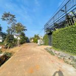 Bán Đất 150m² Đường Nguyễn Xuân Nguyên Tân An – 2 Tỷ 190 Triệu - ảnh 2