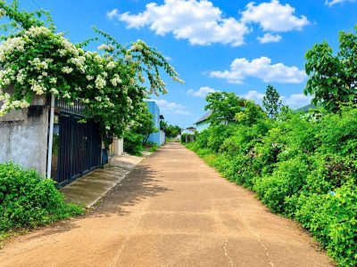 Bán Đất 175m² Đường A2 Thôn 6 Cư Êbur BMT – Vị Trí Đẹp, Thổ Cư 60m²