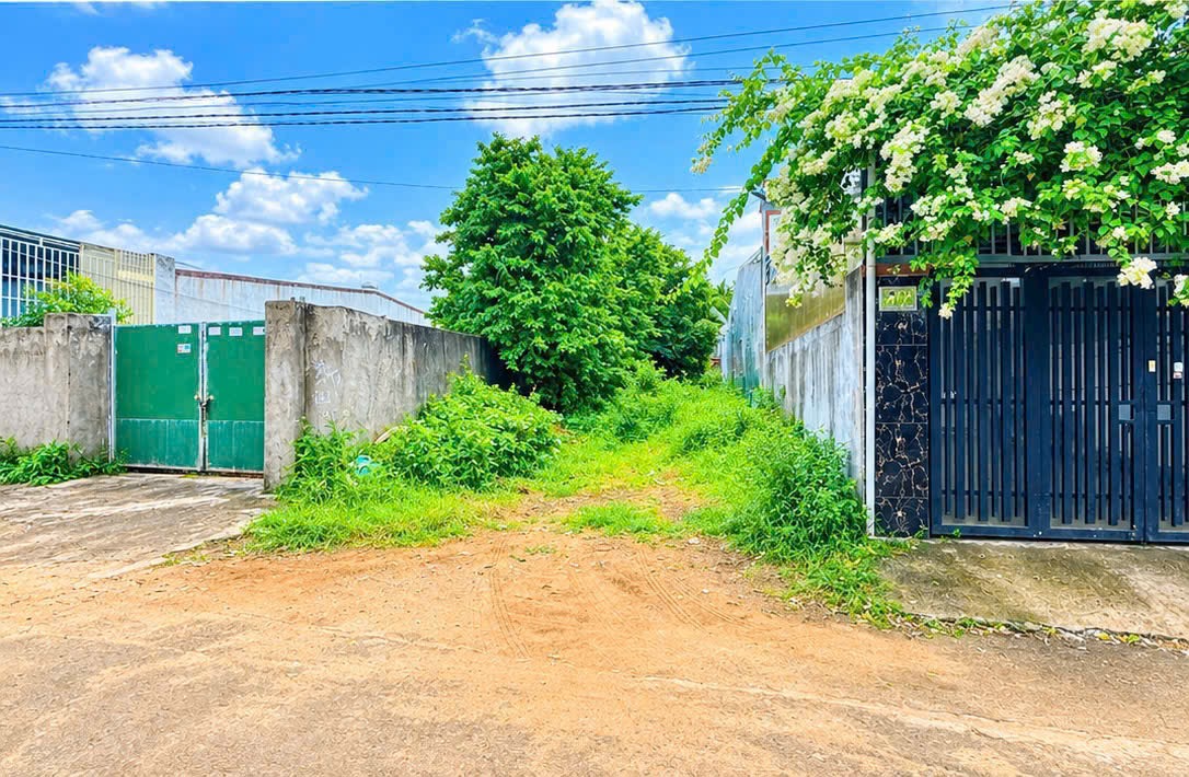 Bán Đất 175m² Đường A2 Thôn 6 Cư Êbur BMT – Vị Trí Đẹp, Thổ Cư 60m²