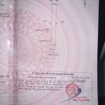 Bán Đất Nền 250m² Hòa Đông Krông Pắc – Giá 850 Triệu Trục Đường 26m - ảnh 4