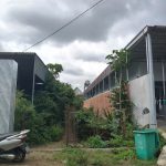 Bán Đất Nền 200m² Gần Trường Đoàn Kết Ea Tam – Giá 1 Tỷ 250 Triệu - ảnh 3