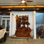 Bán Nhà Phố 264m² Gần Làng Cà Phê Trung Nguyên BMT – Giá 9 Tỷ 800 Triệu - ảnh 2