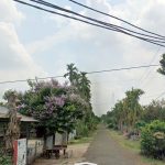 Bán nhà cấp 4 193m² Thôn Cao Thắng Ea Kao – Giá rẻ 699 Triệu - ảnh 3