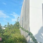 Bán Đất Nền 105m² Phường Tân Lập – Giá Chỉ 975 Triệu Gần Sân Bay - ảnh 4