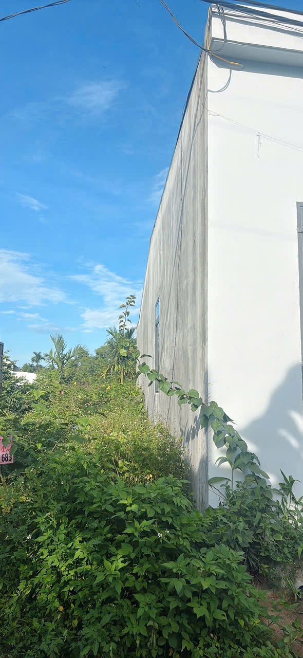 Bán Đất Nền 105m² Phường Tân Lập – Giá Chỉ 975 Triệu Gần Sân Bay