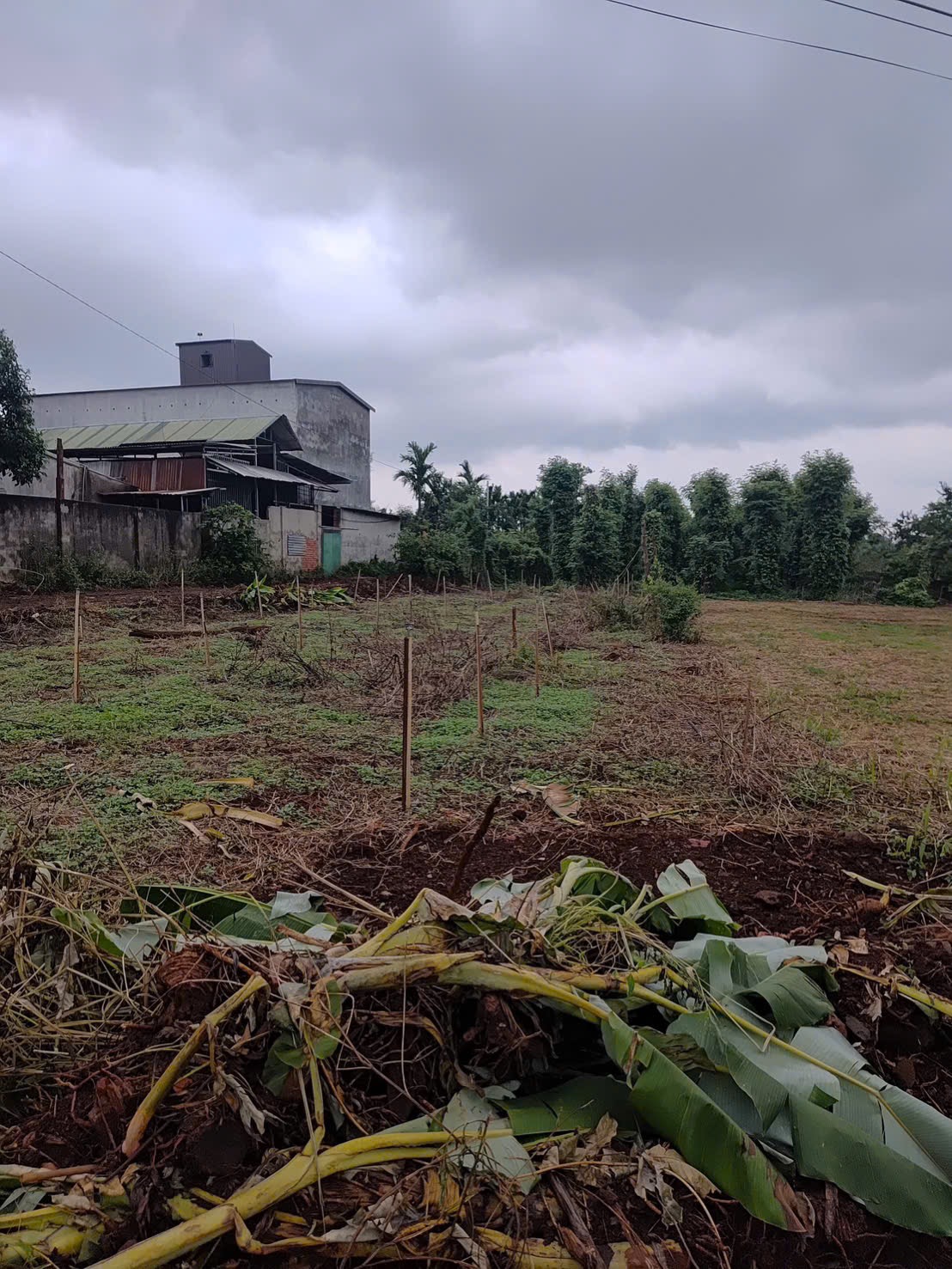 Bán Đất Nền 165m² Phường Thành Nhất Buôn Ma Thuột – Giá 1 Tỷ 200 Triệu