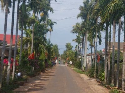 Bán Đất Nền 100m² Đường 14A Phường Tân An – Thổ Cư 100% Giá 1 Tỷ 430 Triệu